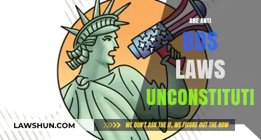 BDS Laws: Unconstitutional or Necessary?