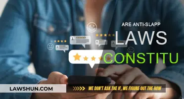 Anti-SLAPP Laws: Free Speech vs. Defamation