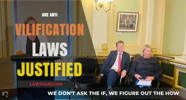 Vilification Laws: Necessary or Unjust?