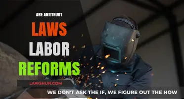 Are Anti-Trust Laws the Key to Modern Labor Reforms?