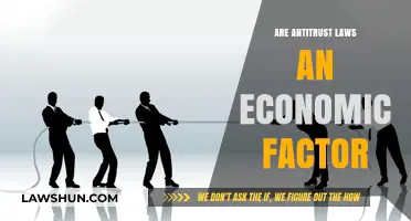 Antitrust Laws: Economic Impact and Market Regulation Explained