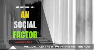Antitrust Laws: A Social Factor Shaping Market Dynamics and Equity