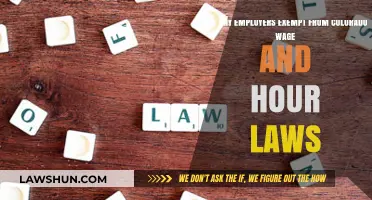 Colorado Wage Laws: Which Employers Are Exempt from Compliance?