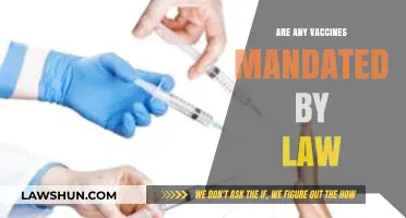 Are Vaccines Legally Required? Exploring Mandates and Public Health Laws