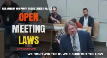 Arizona Nonprofits and Open Meeting Laws: What You Need to Know