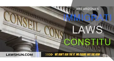 Arizona's Immigration Laws: Constitutional or Not?