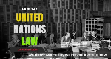 Understanding Article 7 of the United Nations Law: Key Insights