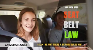 Understanding Back Seat Seat Belt Laws: Safety, Enforcement, and Compliance