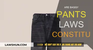 Baggy Pants Laws: Freedom of Expression or Not?