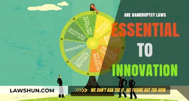 Bankruptcy Laws: Catalyst or Hindrance for Innovation and Entrepreneurship?