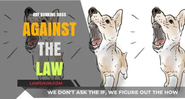 Is Dog Barking Illegal? Understanding Noise Laws and Pet Ownership