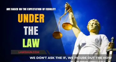 Equality Under the Law: Ensuring Fairness and Justice for All Citizens