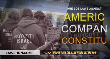 BDS Laws: Unconstitutional Threat to American Companies?
