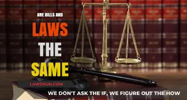 Understanding the Difference: Are Bills and Laws Interchangeable Terms?