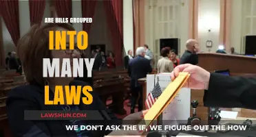 Understanding Legislation: Are Bills Grouped into Multiple Laws?
