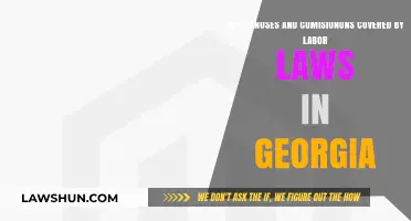 Georgia Labor Laws: Do Bonuses and Commissions Qualify as Wages?