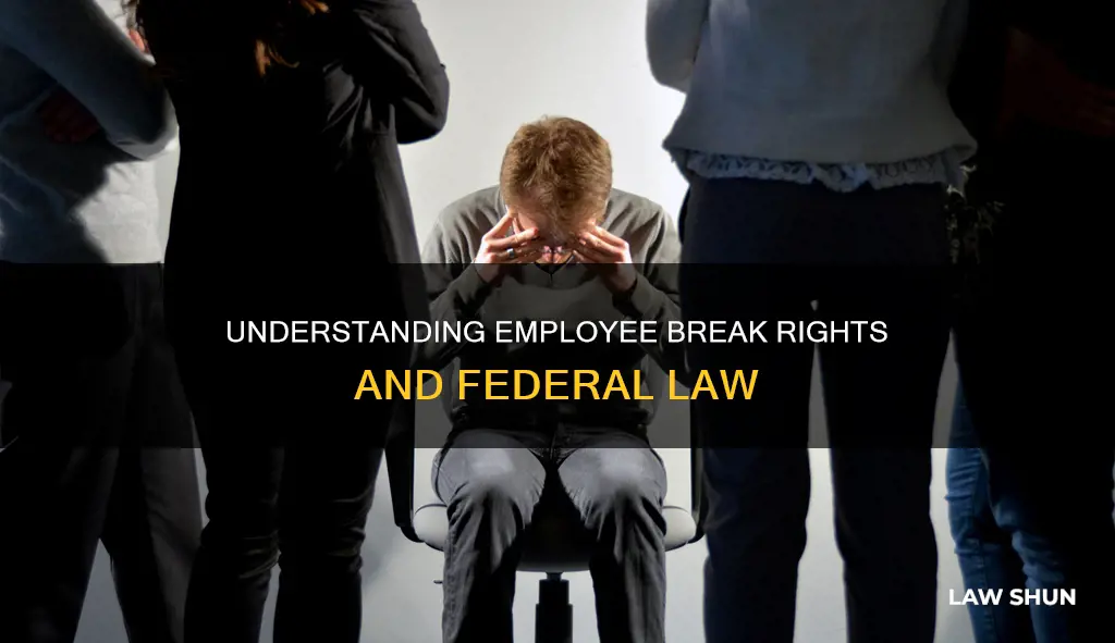 are breaks a federal law