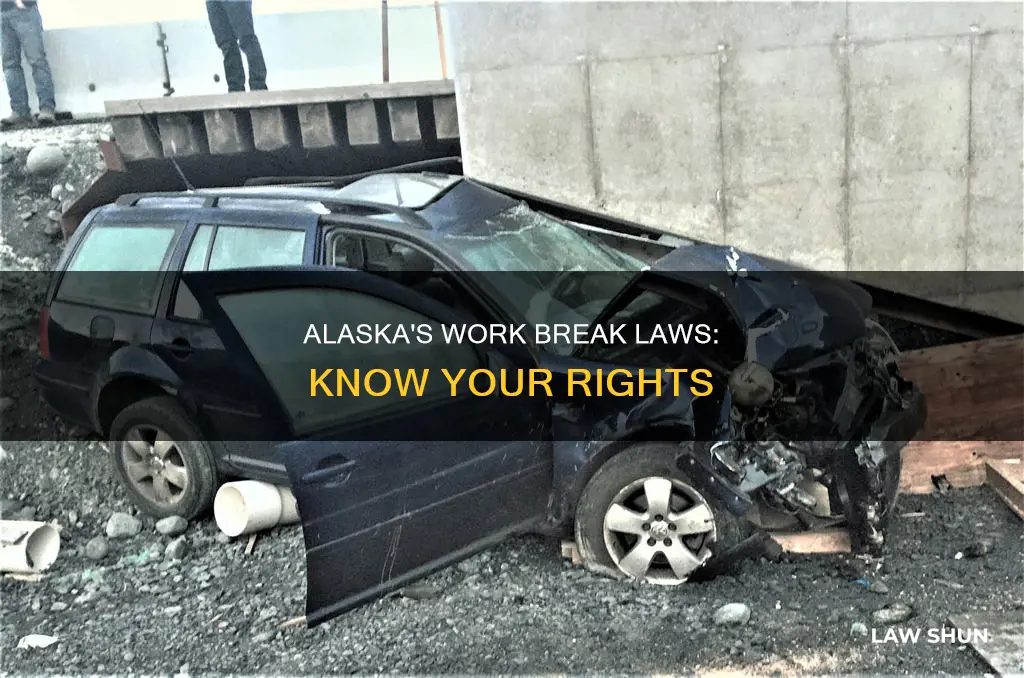 are breaks at work law in alaska