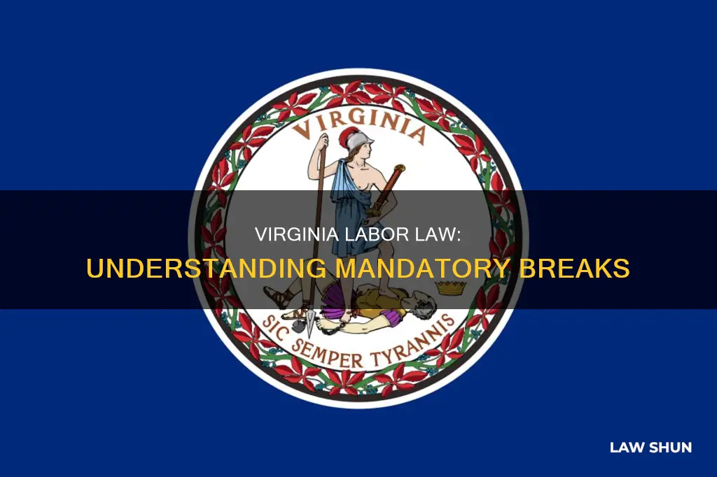 are breaks mandatory virginia labor law