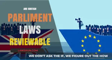 Are British Parliament Laws Reviewable? Exploring Judicial Oversight and Limits