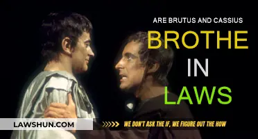 The Complex Relationship Between Brutus and Cassius
