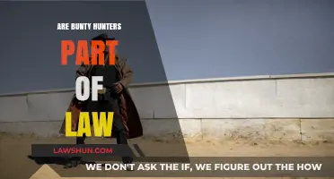 Exploring the Legal Landscape: Are Bounty Hunters Part of the Law?