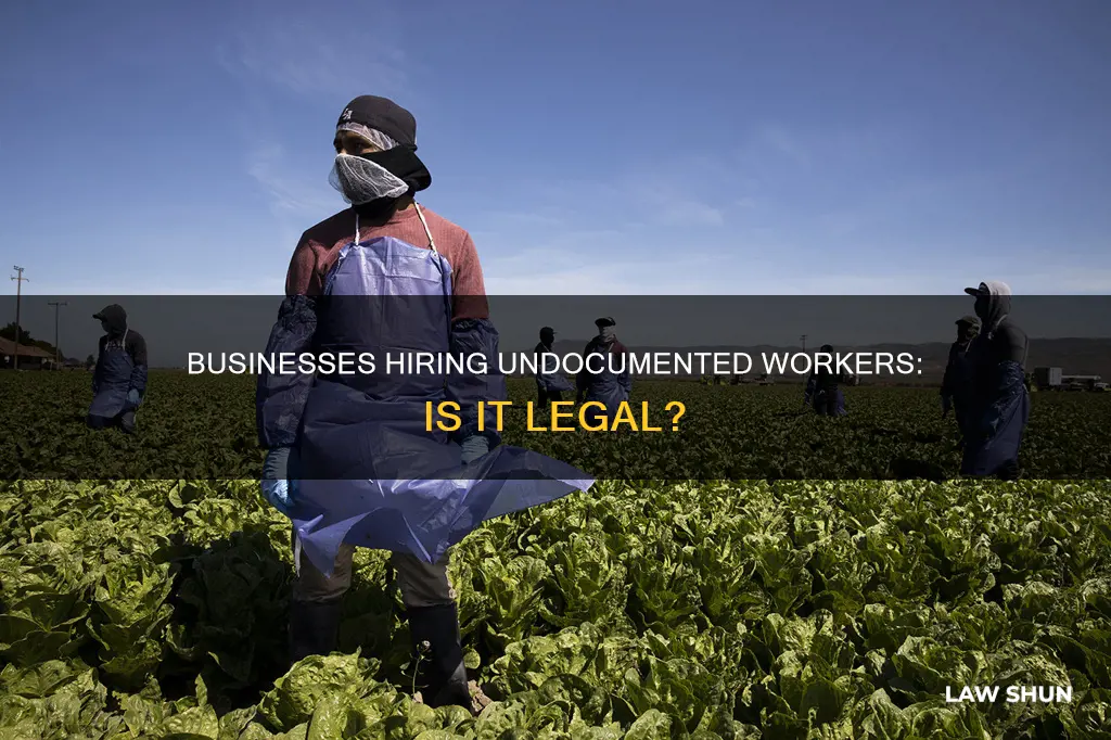 are business breaking the law by hiring illegal immigrants