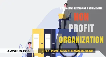 Do Non-Member Nonprofits Need Bylaws? Essential Legal Insights