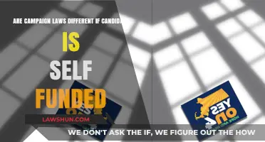 Self-Funded Campaigns: Do Rules Still Apply?