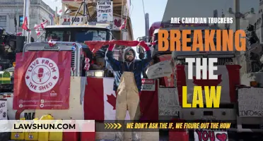 Canadian Truckers: Lawbreakers or Freedom Fighters?