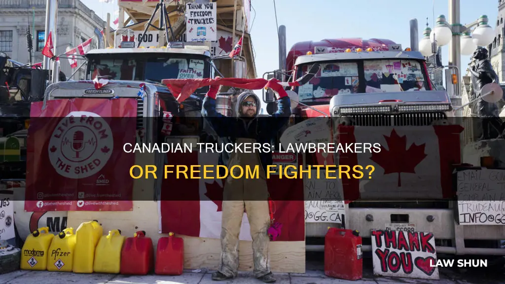 are canadian truckers breaking the law