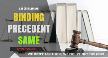 Case Law and Binding Precedent: What's the Difference?