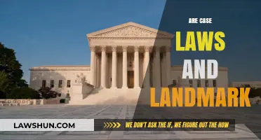 Case Laws and Landmark Decisions: Understanding Their Impact