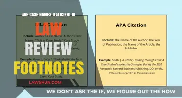 Case Name Styling in Law Review Footnotes: Italicization Rules