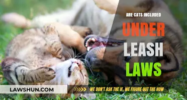 Are Cats Subject to Leash Laws? Exploring Local Regulations and Pet Safety