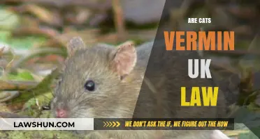 Cats and Vermin: UK Law Explained