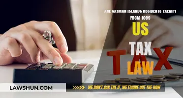 Cayman Islands Residents: Are They Exempt from 1099 US Tax Law?