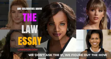 Are Celebrities Above the Law? Examining Privilege and Justice