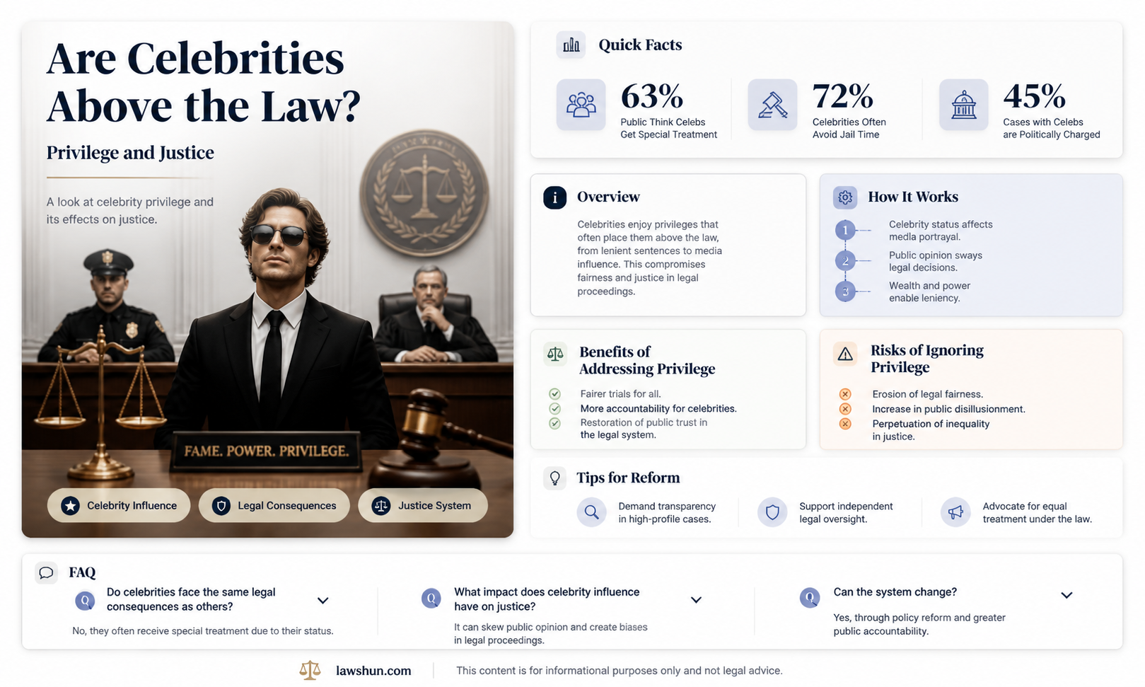 are celebrities above the law essay