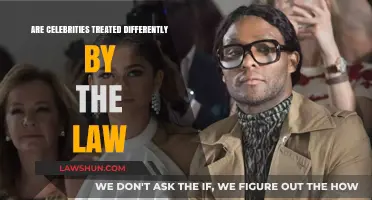 The Legal System: Celebrities and Their Special Treatment