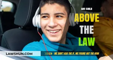 Are Children Above the Law? Exploring Juvenile Justice and Accountability