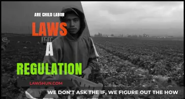 Are Child Labor Laws Regulatory Measures or Ethical Necessities?