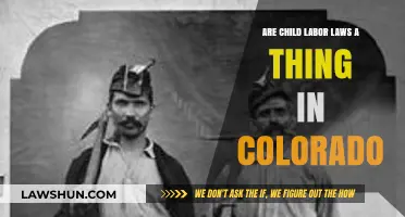 Child Labor Laws in Colorado: What You Need to Know