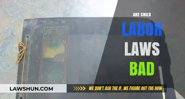 Are Child Labor Laws Harmful or Necessary for Society?