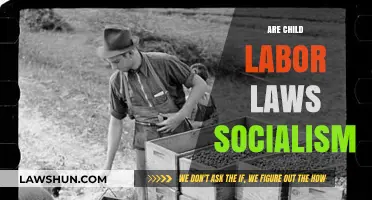Child Labor Laws: Socialist Policies or Essential Protections?