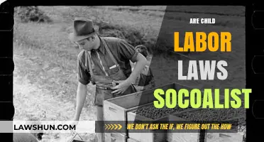 Are Child Labor Laws Socialist? Exploring the Political Divide