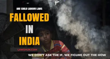 Child Labour Laws in India: Reality vs. Enforcement
