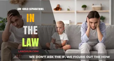 Child Separations in Law: Legal Implications and Ethical Concerns