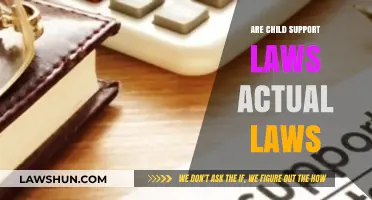Are Child Support Laws Legally Binding? Unraveling the Legal Framework