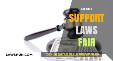 Are Child Support Laws Fair? Examining Equity and Family Justice
